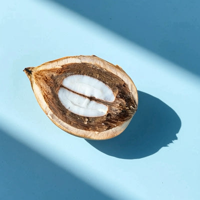 Babassu oil