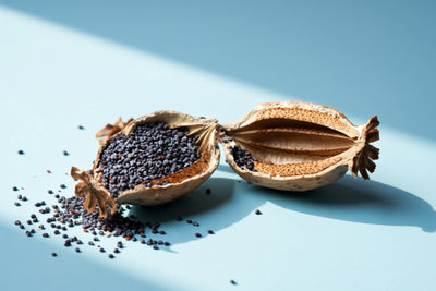 Poppyseed Oil