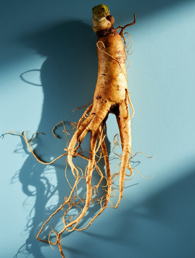 Red Ginseng