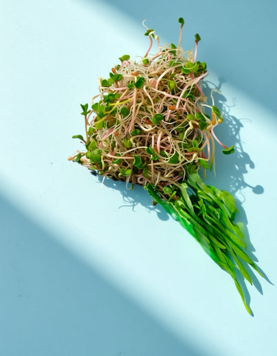 Wheat Germ Oil